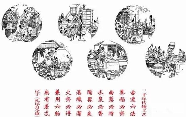 王中特王全年资料