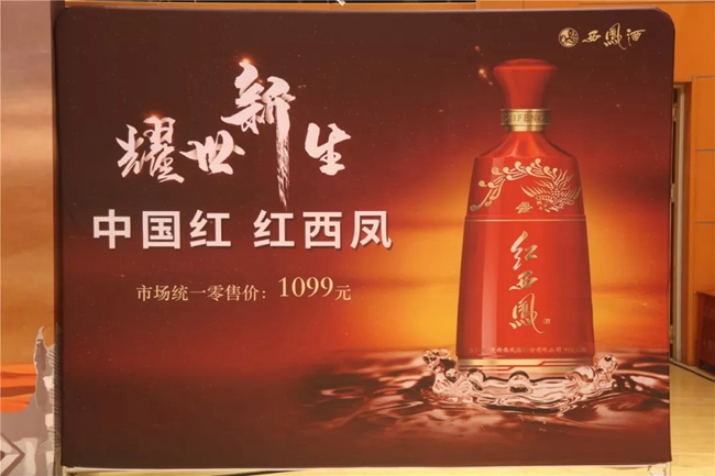 王中特王全年资料