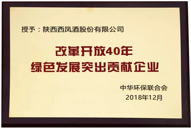 王中特王全年资料